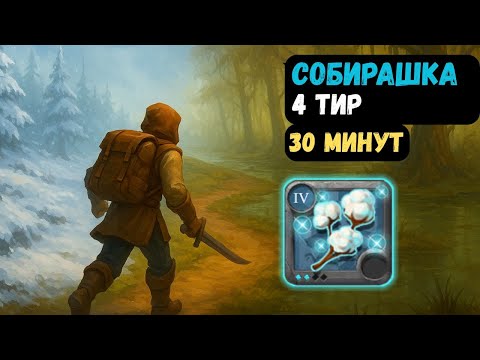 Видео: 🌿 30 Минут Сбора Волокна 4 Тира | Зима vs Болото в Albion Online