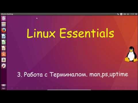 Видео: Linux для Начинающих - Работа с Терминалом, первые команды