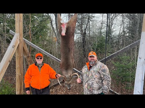 Видео: Сезон охоты на оленей 2025 г. (Неделя 1, часть 2)