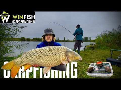 Видео: РИБАЛКА НА ФЛЕТ-ФІДЕР|Flagman Cast Master Feeder 2025 Allround