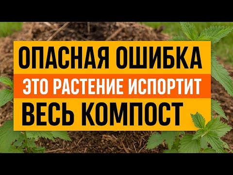 Видео: Опасная ошибка в компосте: это растение убьёт урожай и превратит землю в гниль