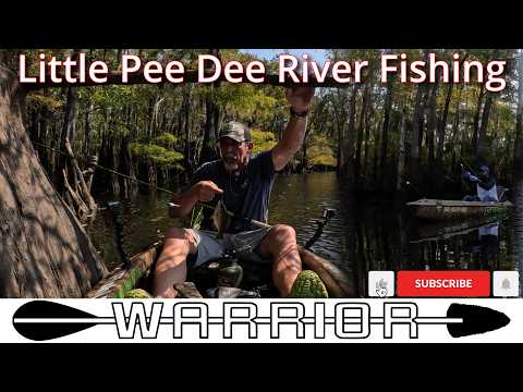 Видео: МОНСТРЫ из болота Пи-Ди! 🌿 Пойманы гигантские лещи и ракушковые креветки