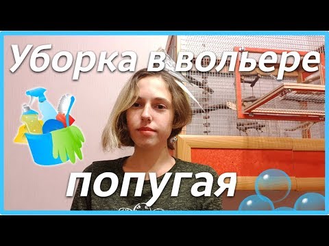 Видео: УБОРКА КЛЕТКИ ПОПУГАЯ. Как проходит уборка в вольере? | Рокки Life