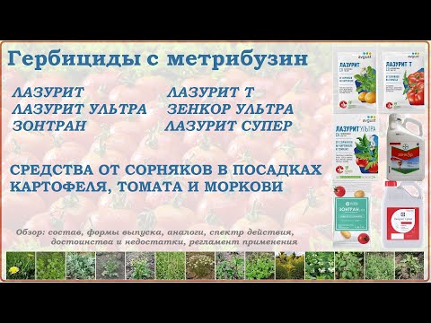 Видео: Лазурит, Зонтран и Зенкор - средства от сорняков в посадках картофеля, томата и моркови. Обзор