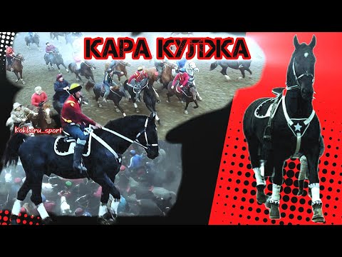 Видео: Кара Кулжанын биринчи улагы 💥