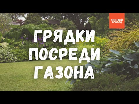 Видео: Ленивый Огород начало: органическое земледелие с нуля, грядки посреди газона | Огород для начинающих