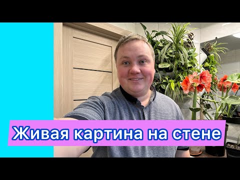 Видео: Фитомодуль-моя мечта!🥰❤