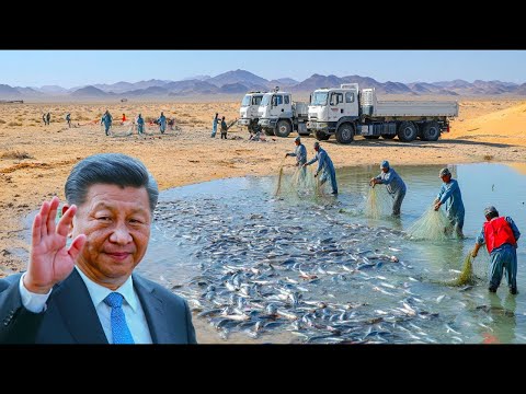Видео: Китай выпустил море рыбы в пустыню. То, что случилось спустя месяц шокировало биологов!