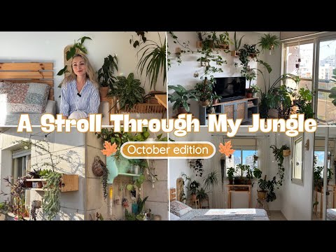Видео: Прохождение октябрьских джунглей 🍁🏡 | Более 150 растений и уютных зелёных уголков