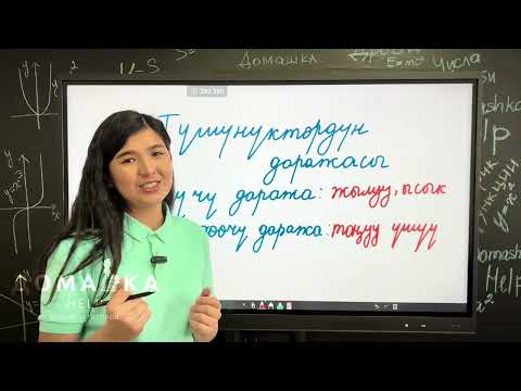Видео: Аналогиялар. Сабак 4. Түшүнүктөрдүн даражасы-салыштырмасы