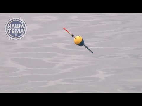 Видео: С поплавком за окунем.