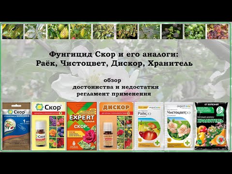 Видео: Скор, Раёк, Чистоцвет, Дискор, Хранитель - обзор средств для защиты растений от болезней