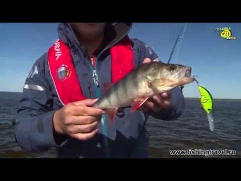 Видео: Ловля на Глубоководные Крэнки. Чебоксарское Водохранилище. Часть 1