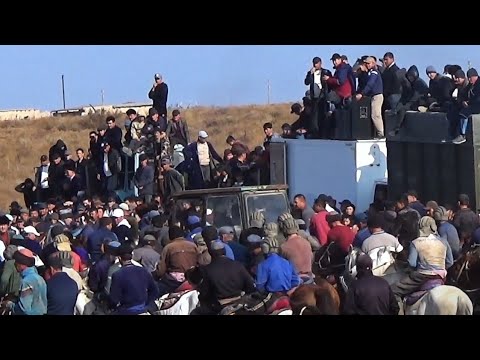 Видео: 21.11.2024 й Кукдала т, Утамайли к, Зафаржон Муродовни купкариси