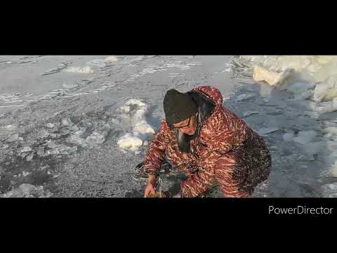 Видео: Аборигенка. Папа с сыном ставят сетку. Подледные сетки. Рыбалка на Амуре зимой.