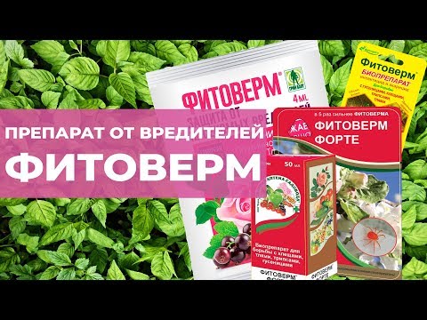Видео: Фитоверм инструкция по применению. Как разводить и использовать