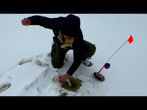 Видео: Рыбалка на платнике в Ковалевичах. Рыбалка в Беларуси по первому льду на щуку.