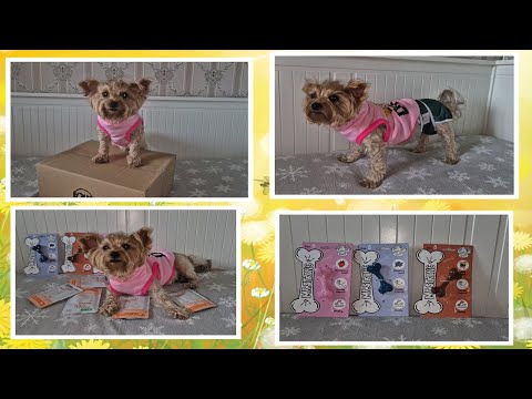 Видео: Посылка из зоомагазина Kika