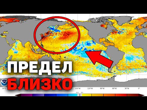 Видео: Сбой начался: то, что мы создали, разрушает всё живое!