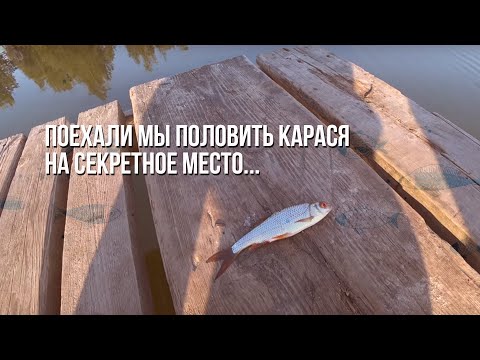 Видео: Come on, карасярик! Рыбалка на секретном месте Андрюхи.