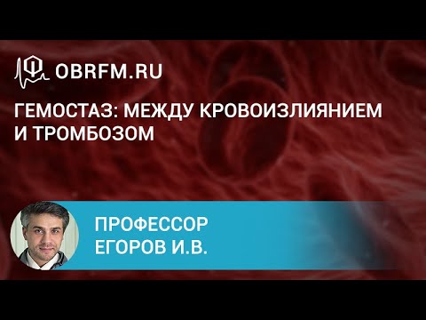 Видео: Профессор Егоров И.В.: Гемостаз: между кровоизлиянием и тромбозом