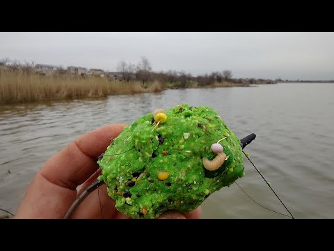 Видео: НА ИНГУЛЕЦ ! в поисках  карпа и сома