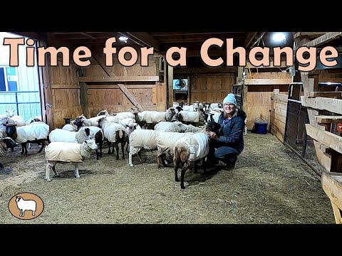 Видео: Новый сезон на ферме