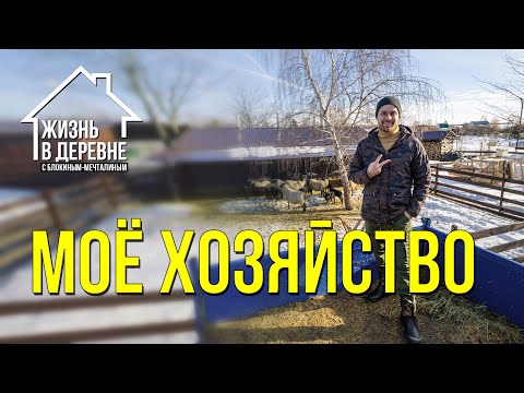 Видео: Обзор скотного двора