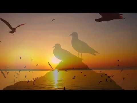 Видео: Осенние Мечты@Owlgirlmusic copyright 