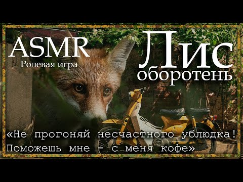 Видео: ASMR [M4F] - Лис оборотень просит помощи - [Ролевая игра]