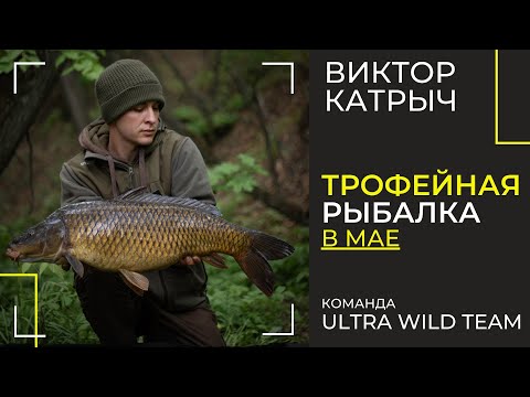 Видео: Душевная рыбалка на дикого карпа в мае // Команда UltraWildTeam - Виктор Катрыч // Рыбалка на дикаре