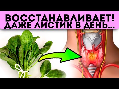 Видео: Эту траву скоро запретят, и вот почему!  Острое зрение, крепкие кости и даже…