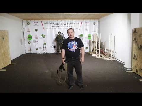 Видео: Стрельба со сменой плеча в зависимости от обстановки часть 4