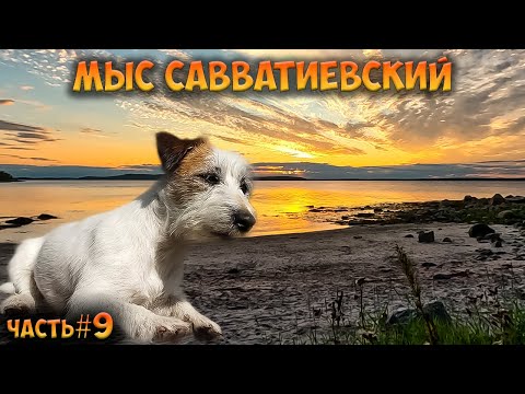 Видео: #9 Мыс Савватиевский  | Белое море 2023