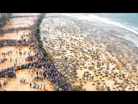 Видео: Они Вылили Миллиарды Тонн Воды в Пустыню, Год Спустя Результат Был Неожиданным