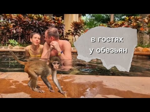 Видео: Остров обезьян на о.Хайнань