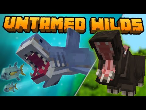 Видео: АКУЛЫ, ЗМЕИ И КУЧА НОВЫХ ЖИВОТНЫХ В МАЙНКРАФТЕ! UNTAMED WILDS - ПОЛНЫЙ ГАЙД ОБЗОР МОДА НА МАЙНКРАФТ