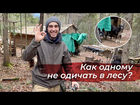 Видео: Прожил 5 дней в лесу и вот что там сделал!