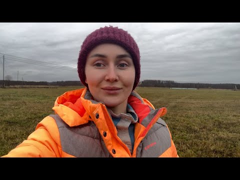 Видео: Сколько кормов заготовили в 2025 году? Скоро привезем еще новых Герефордов?!