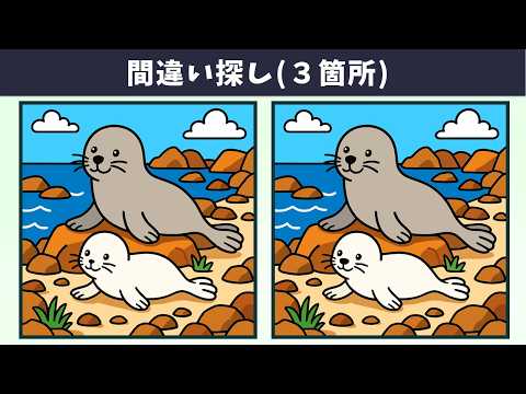 Видео: Найдите 3 отличия | Иллюстрация Версия #1927