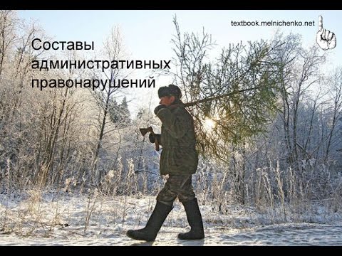 Видео: Составы административных правонарушений