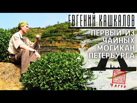 Видео: Евгений Кашкалов - Петербург чайный - начало// философия чая// Путь, энергия, круги внимания// Китай