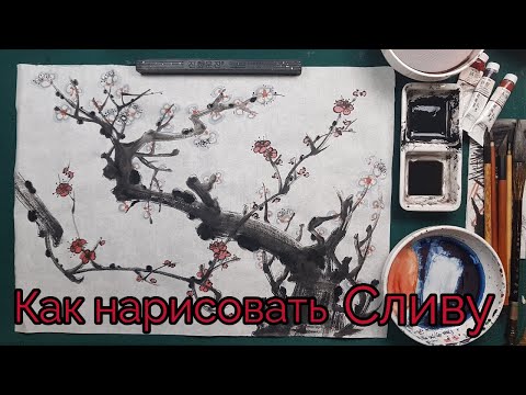 Видео: Как нарисовать Сливу Мэй How to draw Plum Blossoms tutorial 매화 그리기