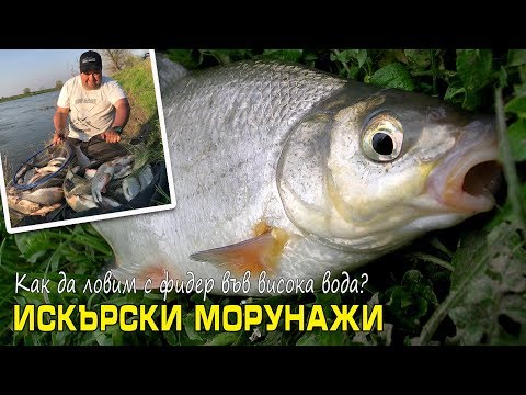 Видео: ЗА МОРУНАЖИ във висока вода