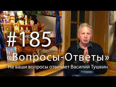 Видео: 2025-10-15 - "Вопросы-Ответы", Выпуск #185 - Василий Тушкин отвечает на ваши вопросы