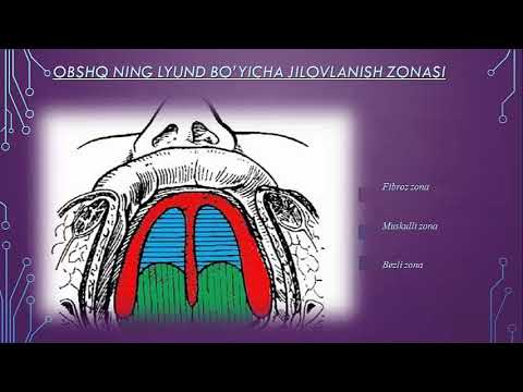 Видео: Тулик тишсизлик Тишсиз жаглар клиникаси