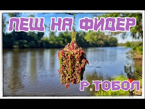 Видео: Лещ на Фидер на реке Тобол. Тестирую еще один, новый состав корма. Результат сумасшедший, рыба есть!