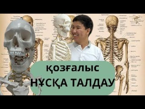 Видео: «Нұсқа талдау 👨🏻‍🎓 | Қаңтар ҰБТ сынағына дайындық 🔥 | Қозғалыс тақырыбы (7–8–9 сынып)  ASKO ACADEMY»