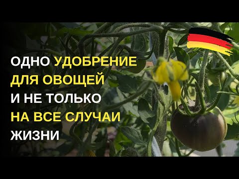 Видео: Дача в Германии. Такая многообещающая подкормка томатов, огурцов и других овощей. Гуматы и фульваты
