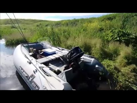 Видео: Рыбалка на реке ЗУША .